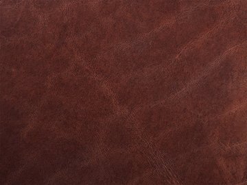 Primavera brązowa 02